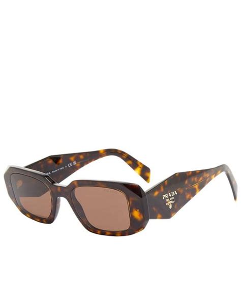 women's prada sunglasses brown|prada symbole sunglasses tortoise.